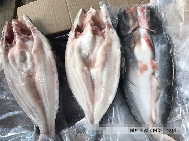 越南冷凍巴沙魚進口報關資料到深圳鹽田水產品案例