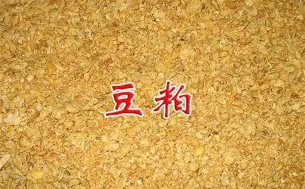 豆粕進(jìn)口清關(guān)