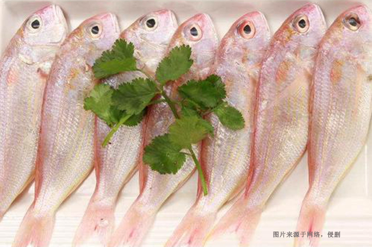 印尼冰鮮魚(yú)進(jìn)口清關(guān)流程